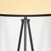 Chellas Lampa stojąca beige, Czarny, 1-punktowy