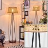 Barcos Lampa stojąca beige, 1-punktowy