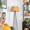 Barcos Lampa stojąca beige, 1-punktowy