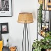 Barcos Lampa stojąca beige, 1-punktowy