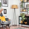 Barcos Lampa stojąca beige, 1-punktowy