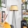 Chellas Lampa stojąca beige, Czarny, 1-punktowy