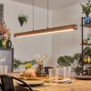 Carbellino Lampa wisząca Ciemnobrązowy, Czarny, 1-punktowy