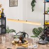 Carbellino lampa wisząca LED kolory naturalne, czarny, 1-punktowy