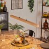 Carbellino lampa wisząca LED kolory naturalne, czarny, 1-punktowy