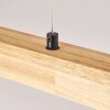 Carbellino lampa wisząca LED kolory naturalne, czarny, 1-punktowy