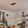Carbellino lampa wisząca LED kolory naturalne, czarny, 1-punktowy
