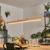 Carbellino LED Ecru, Czarny, 1-punktowy