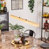 Carbellino LED Ecru, Czarny, 1-punktowy