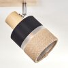Fallhagen lampa sufitowa chrom, kolory naturalne, 2-punktowe