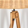 Cavaca lampa stojąca kolory naturalne, 1-punktowy