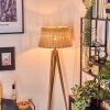 Cavaca lampa stojąca kolory naturalne, 1-punktowy