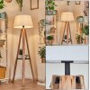 Bassagoda lampa stojąca kolory naturalne, czarny, 1-punktowy