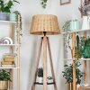 Cavaca lampa stojąca kolory naturalne, czarny, 1-punktowy