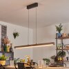 Carbellino Lampa wisząca LED Biały, 1-punktowy