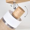 Fallhagen lampa sufitowa chrom, kolory naturalne, 3-punktowe