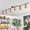 Gastor Lampa sufitowa, Kula świetlna W kolorze bursztynu, 6-punktowe