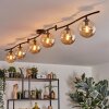 Gastor Lampa sufitowa, Kula świetlna W kolorze bursztynu, 6-punktowe