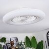 Benesal Lampa sufitowa, lampa z wentylatorem Biały, 1-punktowy, Zdalne sterowanie