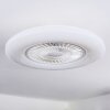 Benesal Lampa sufitowa, lampa z wentylatorem Biały, 1-punktowy, Zdalne sterowanie