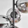 Gastor Lampa sufitowa, Kula świetlna Chrom, Przezroczysty, Przydymiony, 4-punktowe