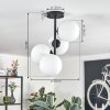 Gastor lampa sufitowa, kula świetlna przezroczysty, 4-punktowe