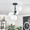 Gastor lampa sufitowa, kula świetlna przezroczysty, 4-punktowe