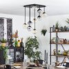 Chehalis Lampa sufitowa, Kula świetlna W kolorze bursztynu, Przezroczysty, Przydymiony, 9-punktowe