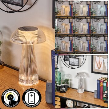 lampa grzyb  Balsa lampa stołowa LED przezroczysty, 1-punktowy