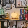 Opsaheden Lampa stołowa LED Brązowy, Biały, 1-punktowy