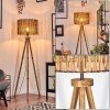 Cando lampa stojąca kolory naturalne, 1-punktowy