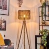 Cando lampa stojąca kolory naturalne, 1-punktowy