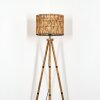 Cando lampa stojąca kolory naturalne, 1-punktowy