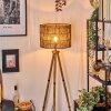 Cando lampa stojąca kolory naturalne, 1-punktowy