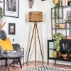 Cando lampa stojąca kolory naturalne, 1-punktowy