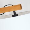 Bassagoda Lampa stojąca Ecru, Czarny, 1-punktowy
