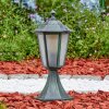 Loria Lampa na cokół Zielony, Czarny, 1-punktowy