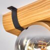 Koyoto lampa sufitowa, kula świetlna kolory naturalne, czarny, 4-punktowe