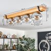 Koyoto lampa sufitowa, kula świetlna kolory naturalne, czarny, 4-punktowe