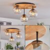 Koyoto lampa sufitowa, kula świetlna kolory naturalne, czarny, 3-punktowe