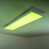 WABOS lampa sufitowa LED Biały, 1-punktowy, Zdalne sterowanie, Zmieniacz kolorów