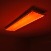 WABOS lampa sufitowa LED Biały, 1-punktowy, Zdalne sterowanie, Zmieniacz kolorów