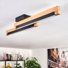 Lemene lampa sufitowa LED kolory naturalne, czarny, 2-punktowe