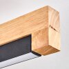 Lemene lampa sufitowa LED kolory naturalne, czarny, 2-punktowe