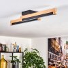 Lemene lampa sufitowa LED kolory naturalne, czarny, 2-punktowe
