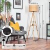 Cavaca lampa stojąca kolory naturalne, 1-punktowy