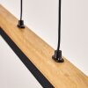 Lemene lampa wisząca LED kolory naturalne, czarny, 1-punktowy