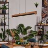 Lemene lampa wisząca LED kolory naturalne, czarny, 1-punktowy