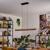 Lemene lampa wisząca LED kolory naturalne, czarny, 1-punktowy