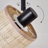 Bassagoda Lampa sufitowa Czarny, 4-punktowe